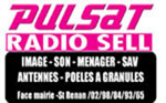 Radio-Sell-blog-2013   www.pulsat.fr