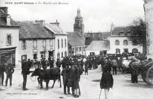 Place aux vaches