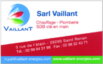 Vaillant internet 2019